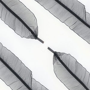 Trendy shoe laces organza Black