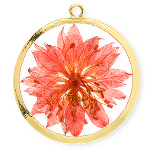 Charms with dried flowers 34mm Gold-Living Coral Red