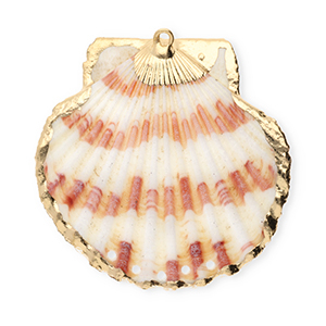 Shell pendants specials scallop with 5 loops White-Dark Pink-Gold