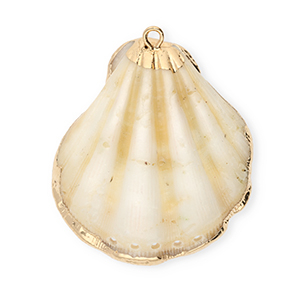 Shell pendants specials scallop with 5 loops Light Beige-Gold