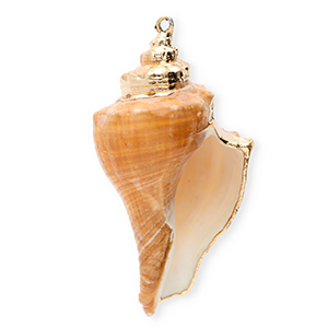 Shell pendants specials whelk Copper Brown-Gold