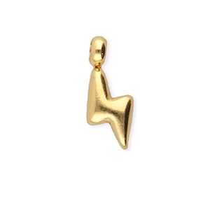 BY31&reg; Stainless steel charms thunder Gold