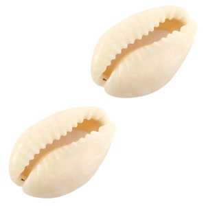 Cowrie shells Ivory-beige